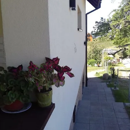 Pod Grusza Holiday home *