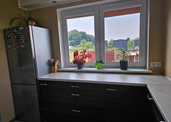 Pod Grusza * Lubin (West Pomeranian)